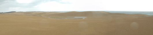 「馬の背」の風景－飛砂現象が発生しています