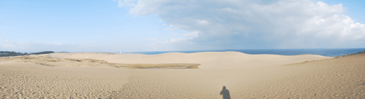 「馬の背」の風景－乾いた砂が広がっています