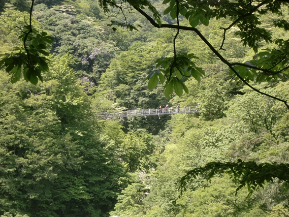 大山滝吊橋
