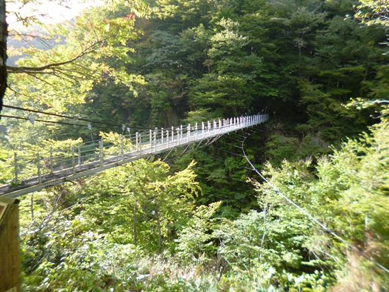 リニューアル後の大山滝吊橋